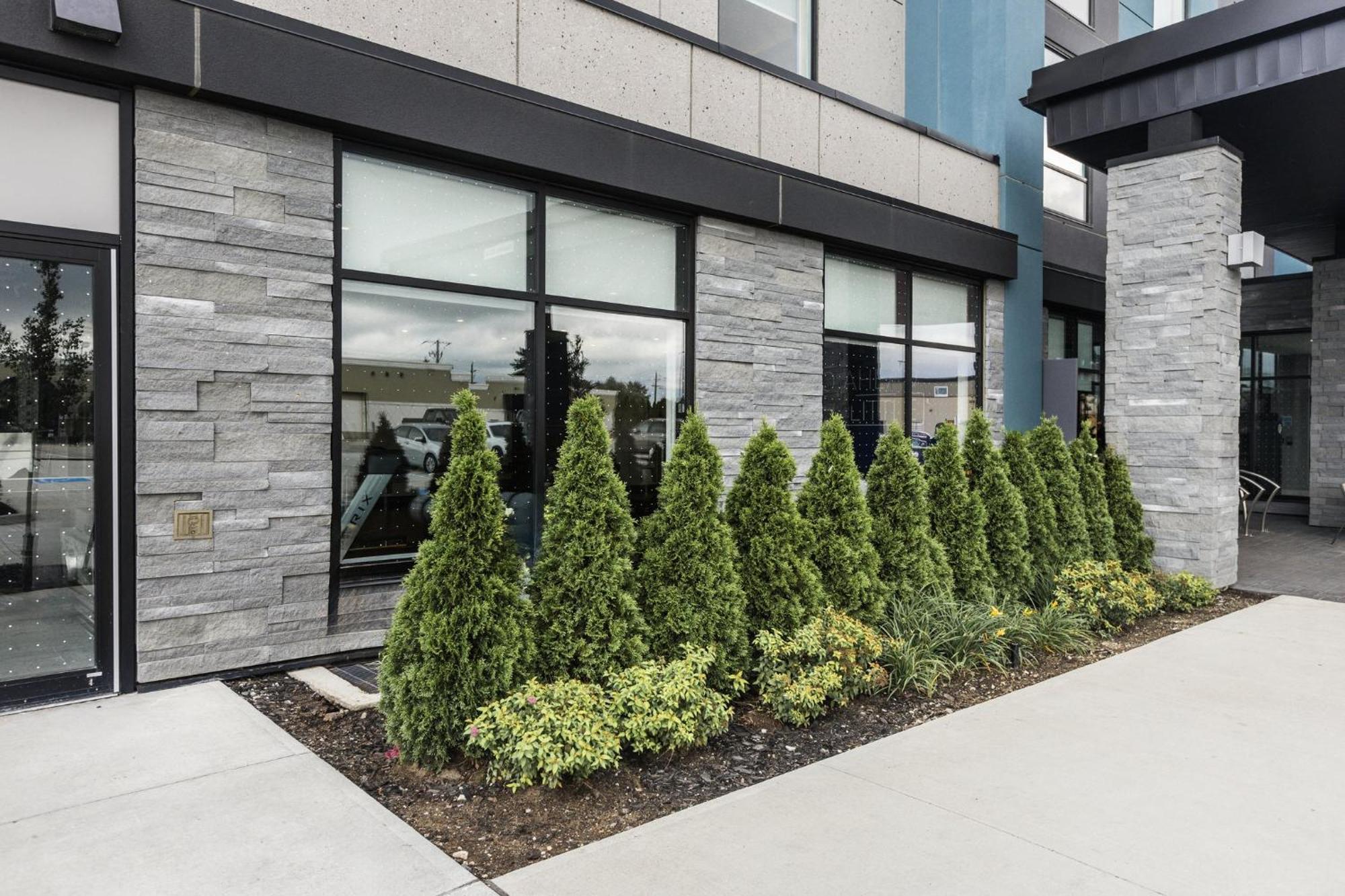 Holiday Inn Express & Suites - Toronto Airport South By Ihg エクステリア 写真